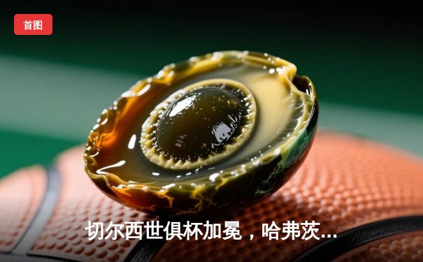 切尔西世俱杯加冕，哈弗茨加时绝杀铸就洲际全满贯