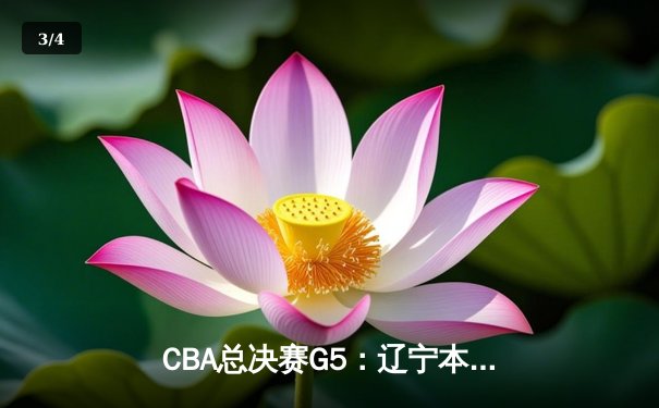 CBA总决赛G5：辽宁本钢加时险胜广东宏远 成功卫冕总冠军 - 3